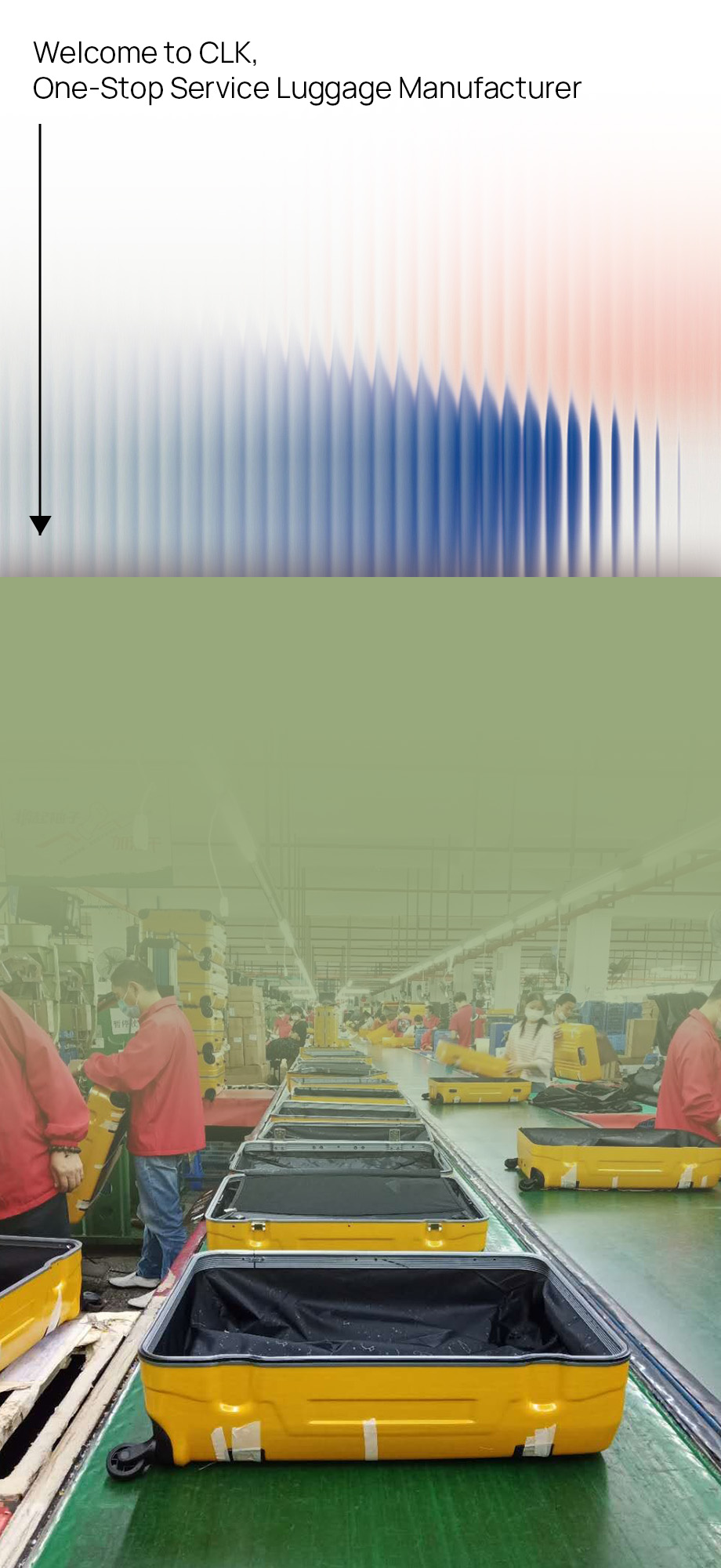 Tailored Luggage Solutions<br>for the Premium Market.