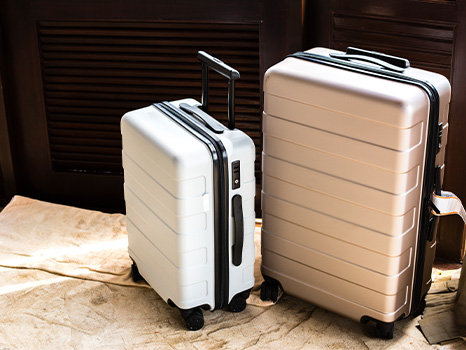 The Past and Present of Jiangxi Luggage Industry